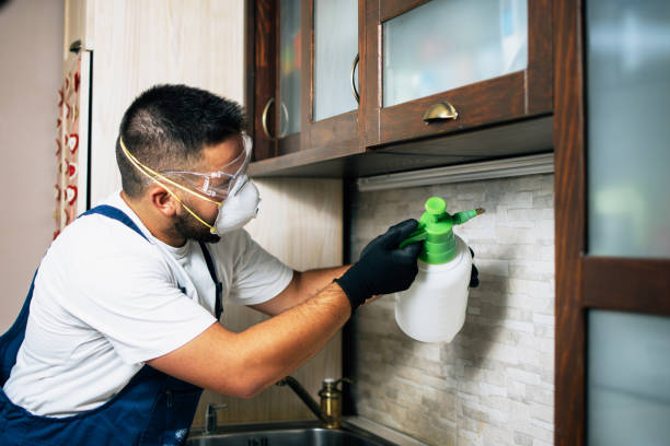 Best Emergency Pest Control  in East Setauket, NY