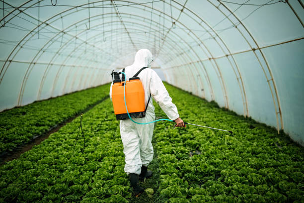 Best Pest Removal Services  in East Setauket, NY