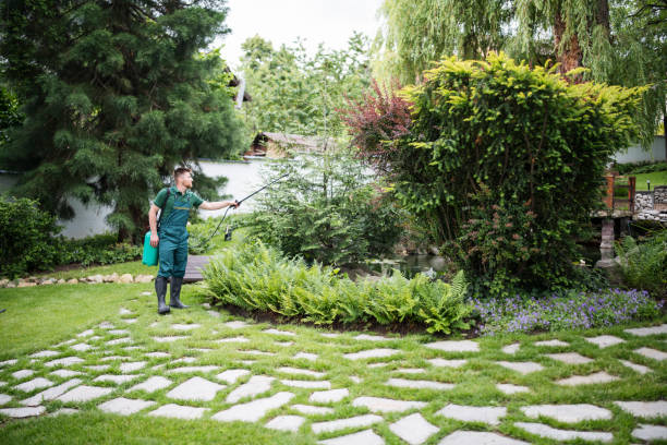 Best Commercial Pest Control Services  in East Setauket, NY