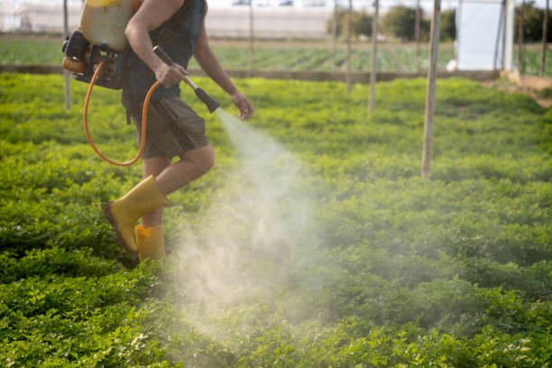 Best Exterminator Services  in East Setauket, NY