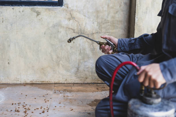 Best Local Pest Control Services  in East Setauket, NY
